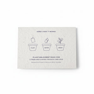 Congratulations Plantable Cards - Plantable Greetings - Painted Door on Main