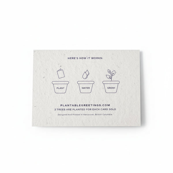 Congratulations Plantable Cards - Plantable Greetings - Painted Door on Main