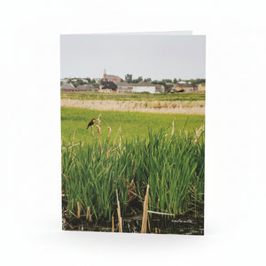 Greeting Cards - Ealanta Photography - Painted Door on Main