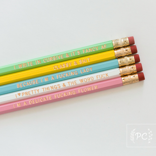 810-20 Pencil Sets - Prairie Chick Prints freeshipping - Painted Door on Main Gift & Gallery