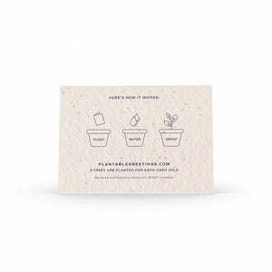 Love Cards - Plantable Greetings - Painted Door on Main