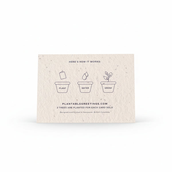 Love Cards - Plantable Greetings - Painted Door on Main