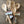 Load image into Gallery viewer, 017-06 Wooden Spoons - Country Compass - Painted Door on Main Gift &amp; Gallery
