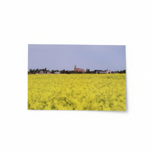 Beaumont Postcards - Ealanta Photography - Painted Door on Main