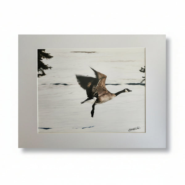 Prints 8x10" - Ealanta Photography - Painted Door on Main