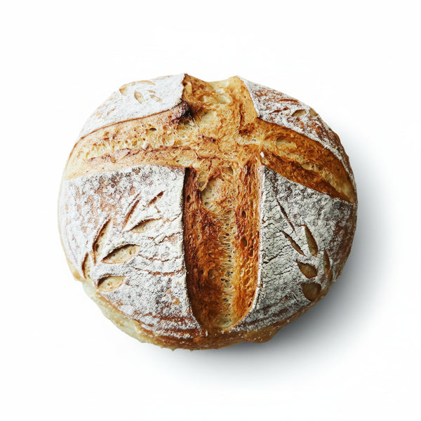 Sourdough Starter - Summit Sourdough - Painted Door on Main