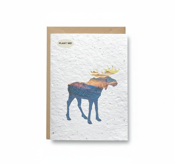 Wildlife Collection Plantable Cards - Plantable Greetings - Painted Door on Main