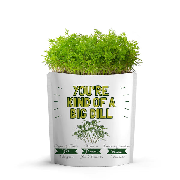 825-05 You're Kind of a Big Dill Card - Gift a Green